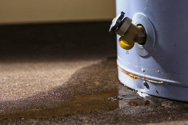 Best Water damage contractors near me  in Woburn, MA