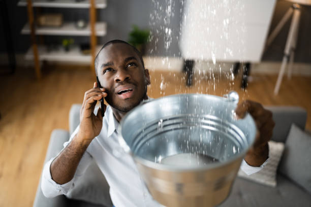 Best Ceiling water damage repair  in Woburn, MA