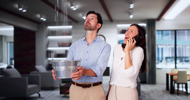 Best Basement water damage restoration  in Woburn, MA